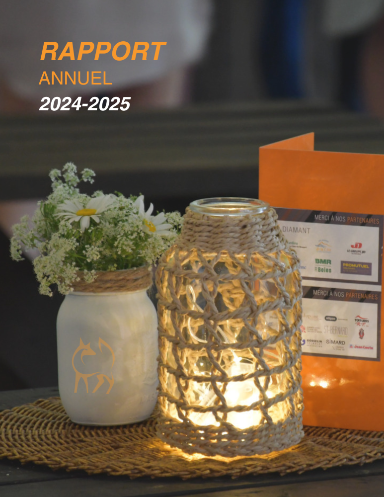 Rapport d’activités 2024-2025 : Une année de transition réussie
